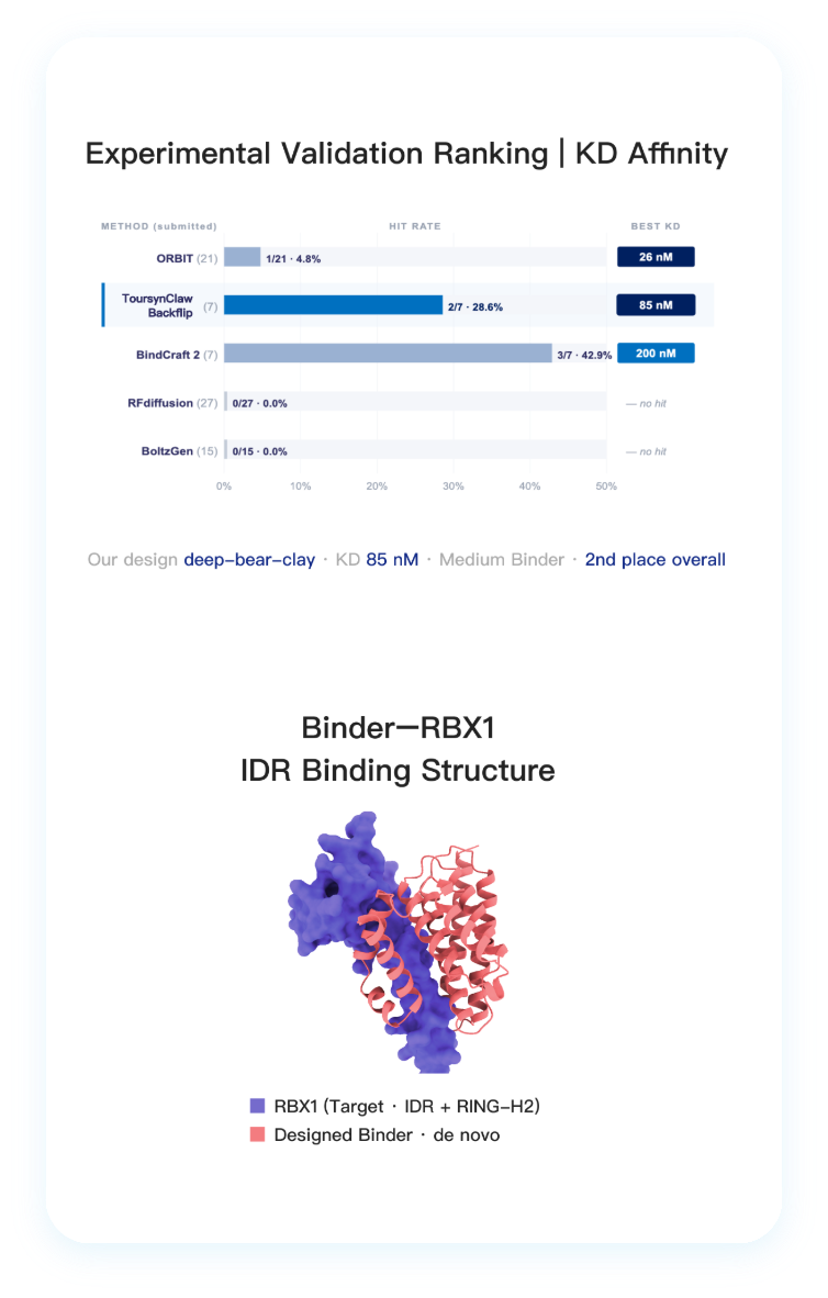 Internationally recognized capability in designing binders for intrinsically disordered proteins