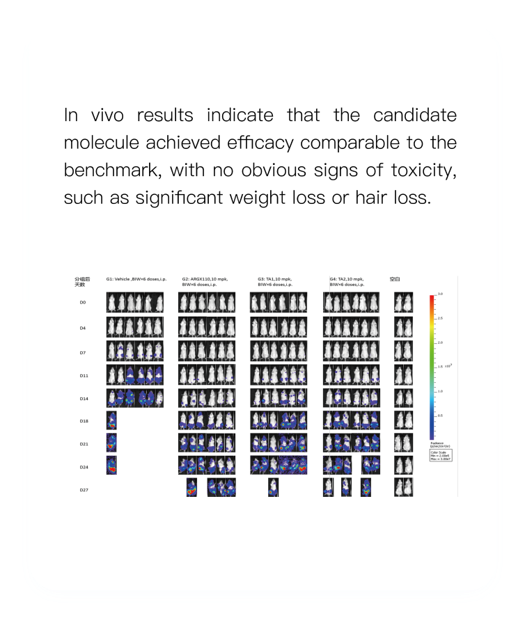 Preliminary&thinsp;in&thinsp;vivo&thinsp;efficacy&thinsp;and&thinsp;safety&thinsp;evaluation