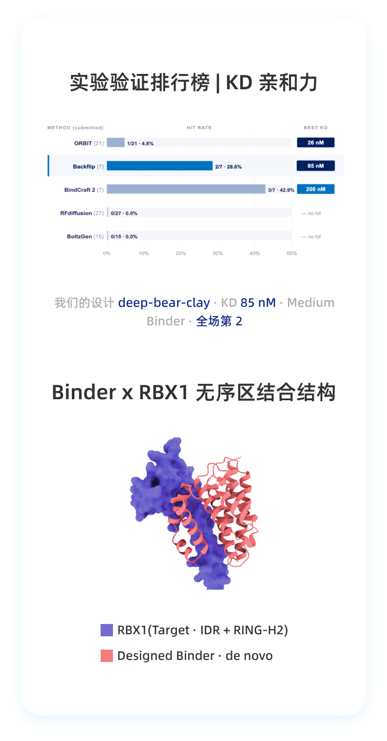 国际认可的无序蛋白Binder设计能力