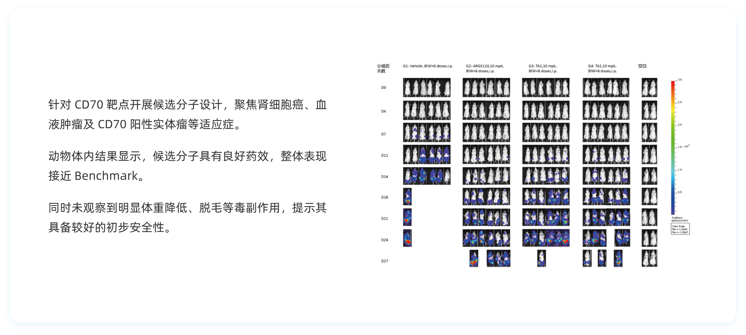 体内药效与安全性初评