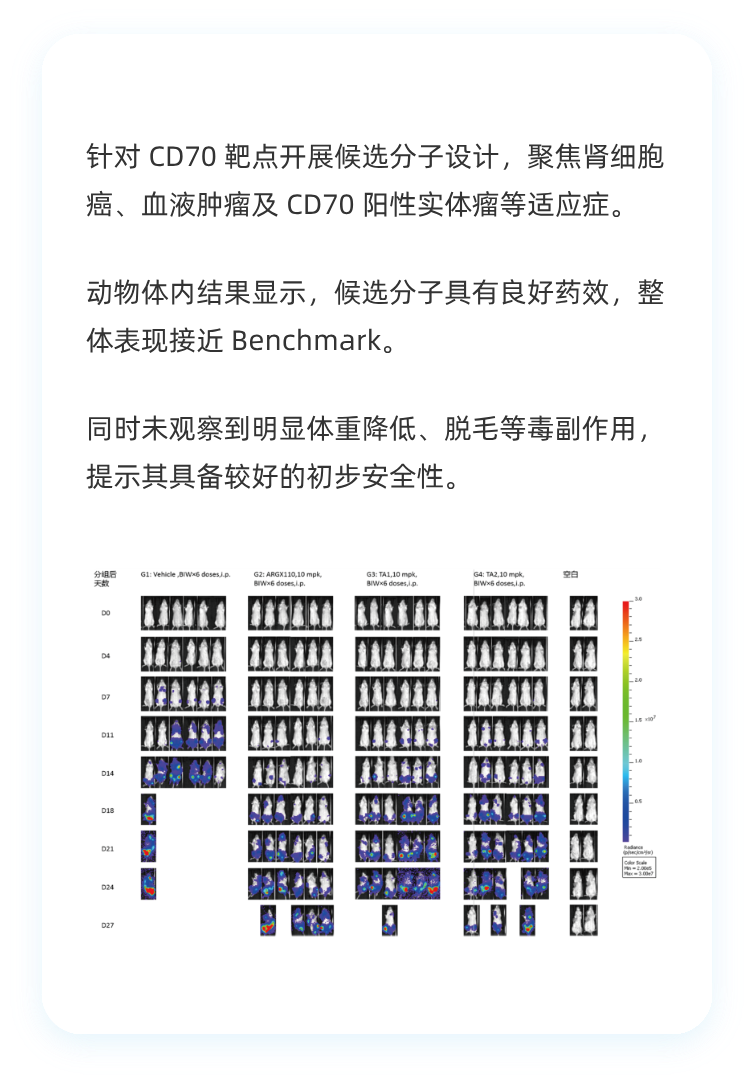 体内药效与安全性初评